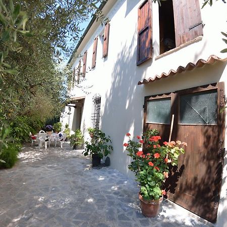 Casa Romana Viareggio Buitenkant foto