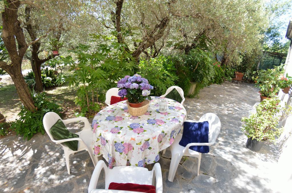 Casa Romana Viareggio Buitenkant foto