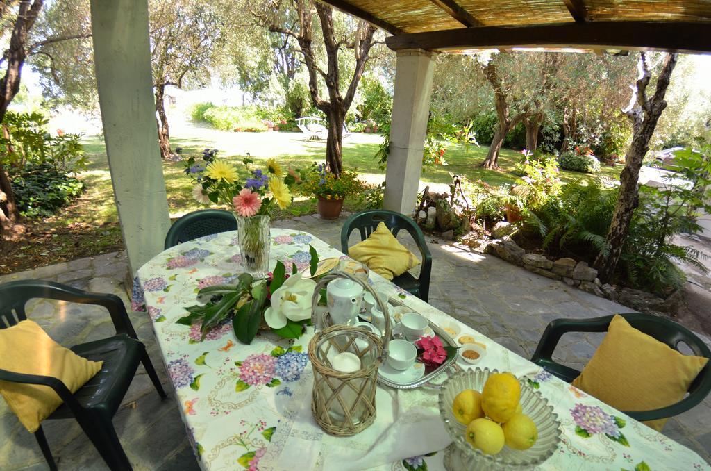 Casa Romana Viareggio Buitenkant foto