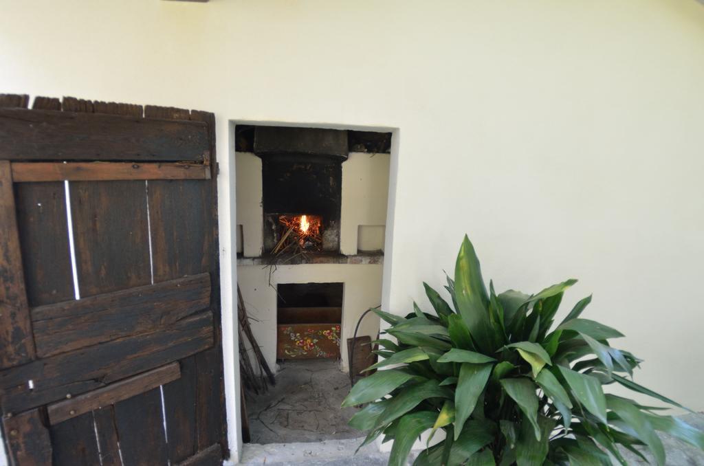 Casa Romana Viareggio Buitenkant foto